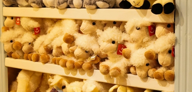 Wizy Kiddies Store